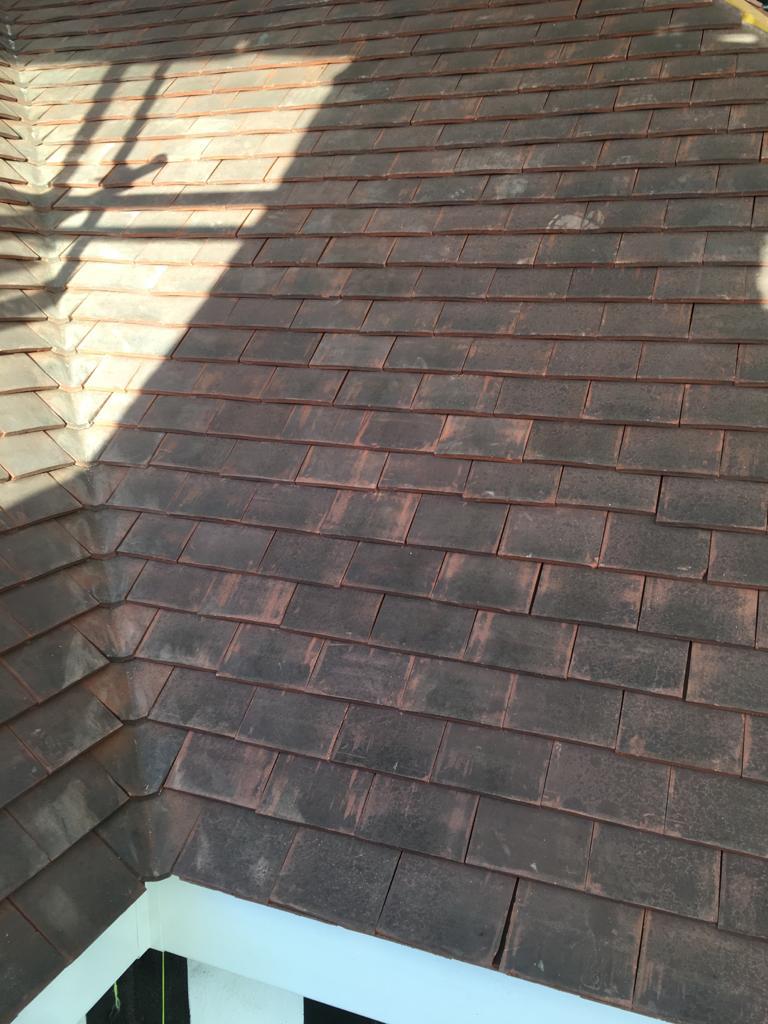 dd08e788-650a-4a28-aa1c-34a895d7068e